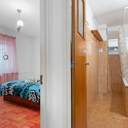 Dristor Large And Cozy Apartament