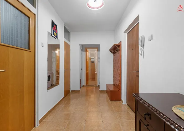 Dristor Large And Cozy